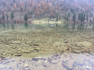 lake in the forest
