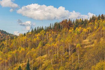 landscape photography, autumn forest and mountains, sunny day