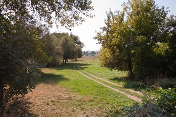 narrow and winding dirt road in pasture meadow, rich vegetation of grass, weeds and trees, sunny autumn day, farming landscape background