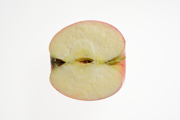 リンゴの断面