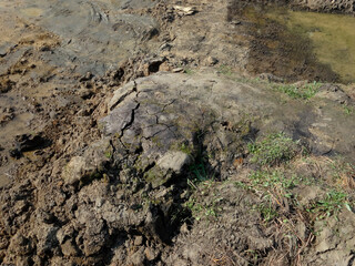 水路の土手工事