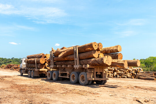 Two trailer truck (road train) loaded with wood logs extracted from an area of brazilian Amazon forest.
