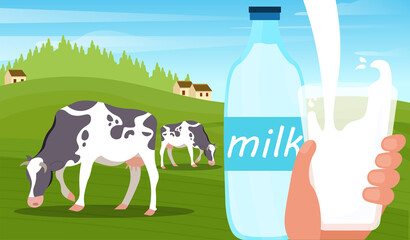Concept of organic milk. Milk pouring with splashing in glass. Cow grazing on green field. Ecological agriculture. Natural product. Flat cartoon vector illustration