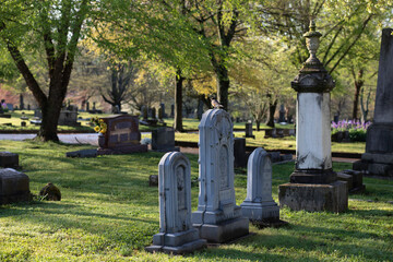 gravestones in cemetery