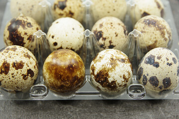 Quail eggs in a plastic box on a grey background. Close-up view