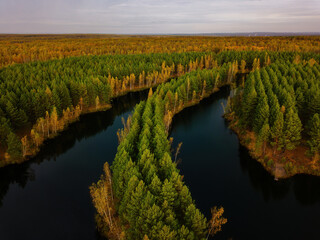 Aerial view of beautiful natural landscape. Lake in golden autumn forest