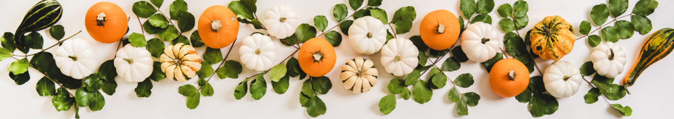 Autumn floral layout. Flat-lay of colorful Fall pumpkins and green leaves over plain white...