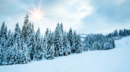 Beautiful winter landscape with snow on the trees