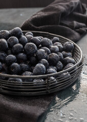 Closeup view of a metallic cooling rack where there is a pile of fresh and wet blueberries. Light drops of water are falling.