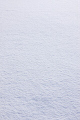 降り積もった雪