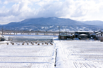 雪が降り積もった平泉町