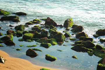 rocks and sea