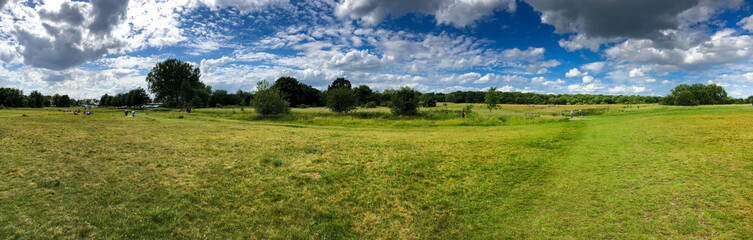 Panoramic summer field and the blue sky. Epping Forest, London