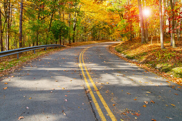 Fototapeta premium road in the autumn forest