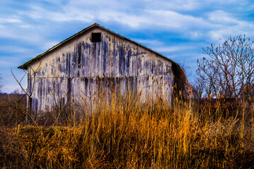 old barn in the field