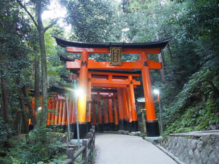 Torii gates of Fushimi Inari Taisha, It is famous for its thousands of vermilion torii gates, Kyoto, Japan