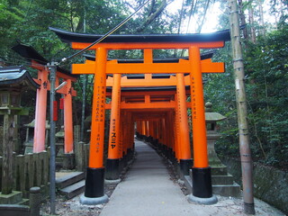 Torii gates of Fushimi Inari Taisha, It is famous for its thousands of vermilion torii gates, Kyoto, Japan
