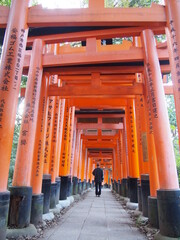 A woman walks through the red torii gates of Fushimi Inari Taisha, It is famous for its thousands of vermilion torii gates, Kyoto, Japan