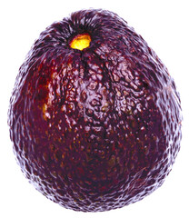 Avocado on white background with clipping path,avocado, clipping path, isolated on white background full depth of field,brown avocado