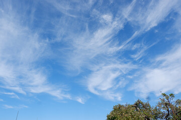 Fluffy Clouds Spread Throughout the Bright Blue Sky