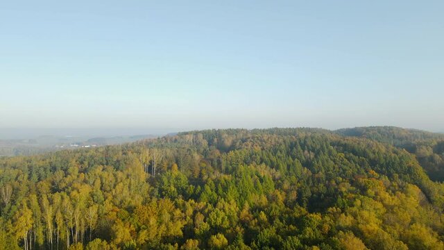 Beautiful green trees in the mountain forest of Napromek, Poland -aerial