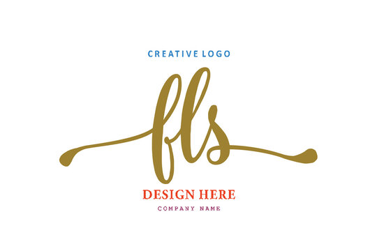 FLS lettering logo is simple, easy to understand and authoritative