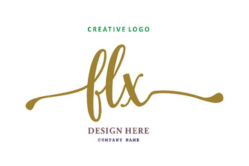 FLX lettering logo is simple, easy to understand and authoritative