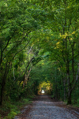Obraz premium A Rails to Trails Walkway in Northern Alabama