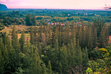 Natural high angle panoramic background With an atmosphere surrounded by mountains and trees, with a blurred wind, cool
