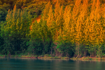 Natural high angle panoramic background With an atmosphere surrounded by mountains and trees, with a blurred wind, cool