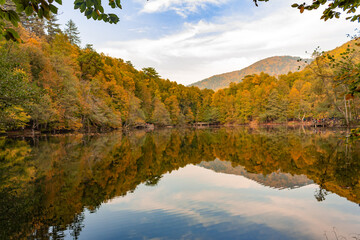 autumn in the mountains. The spectacular reflection of trees with yellowing leaves on the lake in autumn. A great wallpaper concept and a great view. This photo was taken in Yedig&ouml;ller National Park.