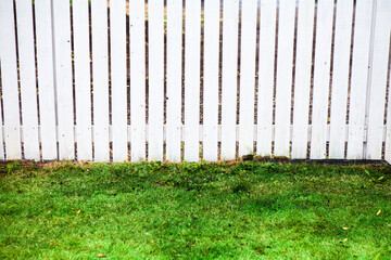芝生と柵