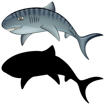 Shark characters and its silhouette on white background