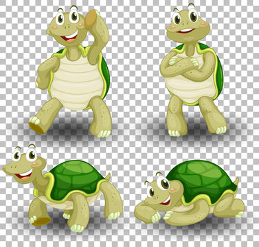 Set of cute turtle on transparent background