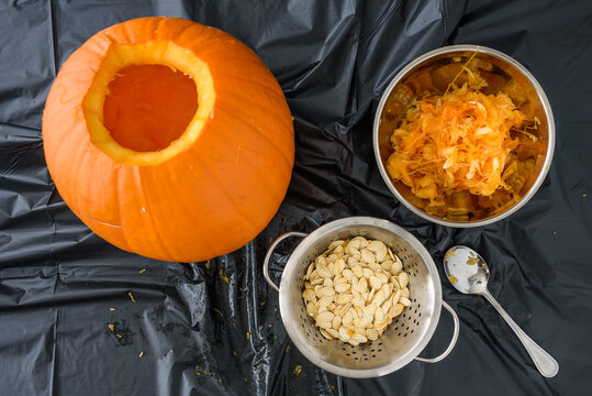 Harvesting Pumpkin Seeds, Fresh Carved Pumpkin On A Plastic Covered Table With Pumpkin Guts And Bowls
