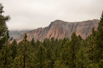 Buffalo Creek Fall 2020