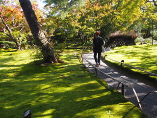 Kyoto at the beginning of the fall foliage season, and woman walking nearby, Hogon-in Temple, Kyoto, Japan
