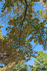 樹木公園の風景