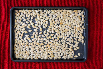 Freshly roasted and salted pumpkin seeds on a baking sheet cooling on a towel
