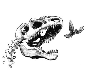 Naklejka premium Tyrannosaurus Rex skull and flying bird. Ink black and white drawing