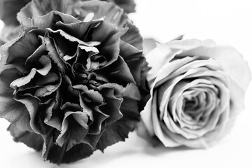 白黒のカーネーションとバラ