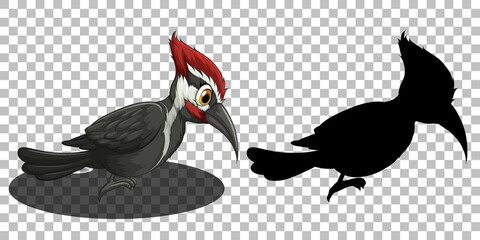 Woodpecker bird cartoon character with its silhouette