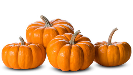 Pumpkins. Pumpkin patch. Autumn background. Happy Thanksgiving day. Farmers market. Orange colors. Copy space on Isolated white background.