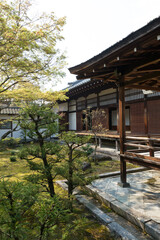 仁和寺御殿の中庭