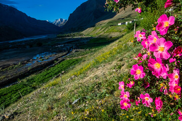 Obraz premium Different views of the Pin Valley