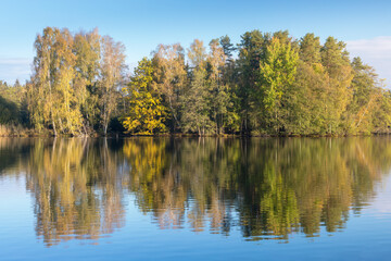 Fototapeta na wymiar Nature rural pond water in autumn landscape Beautiful lake in the background of colorful forest. Romantic place for holidays. Romantic reflection. 