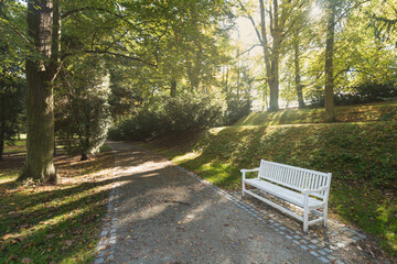 Beautiful autumn park. Autumn trees and leaves. Autumn Landscape. panorama of a stunning forest scenery in autumn, a scenic landscape with pleasant warm sunshine
Bench in autumn park. Autumn landscape