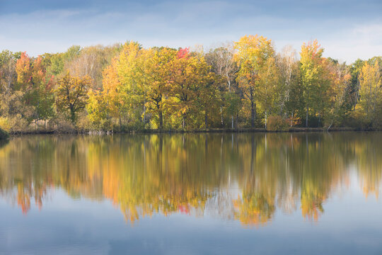 Nature rural pond water in autumn landscape Beautiful lake in the background of colorful forest. Romantic place for holidays. Romantic reflection. © Michal
