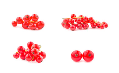Red currant berries an isolated on white background