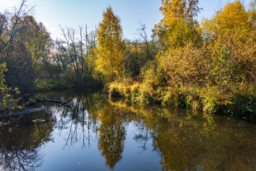 Fototapeta na wymiar Autumn forest is reflected in the water of river
